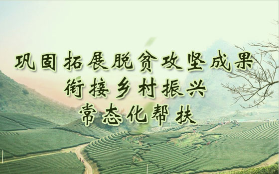 巩固拓展脱贫攻坚成果 衔接乡村振兴 常态化帮扶
