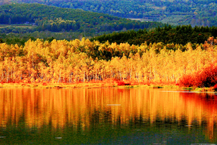 爱情谷 (7)_副本.jpg